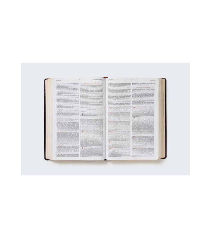 Biblia de Estudio Patristica RVR - Imitacion Piel Marron - Image 2