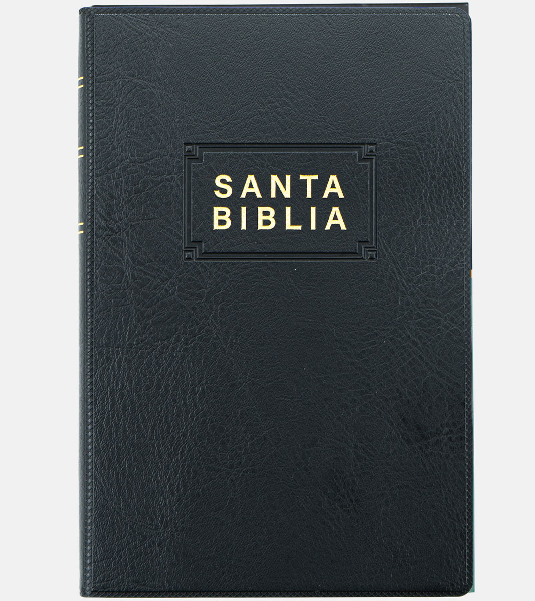 Santa Biblia NTV Edicion Premio y Regalo – Vinil Negro