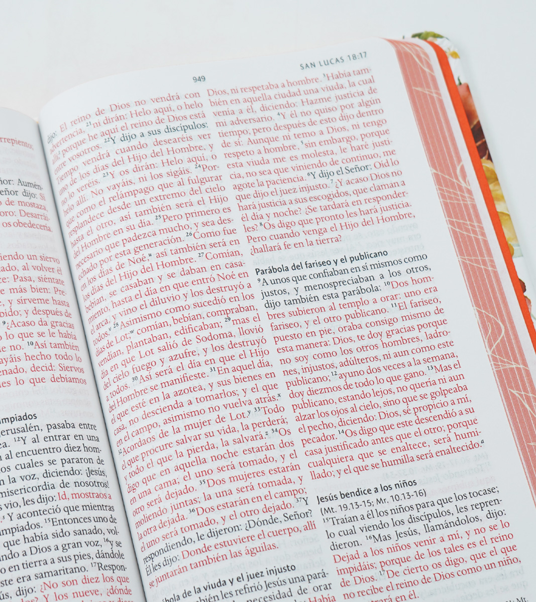 Biblia Letra Grande Tamaño Manual – RVR 1960 Tapa Dura Flores - Image 5