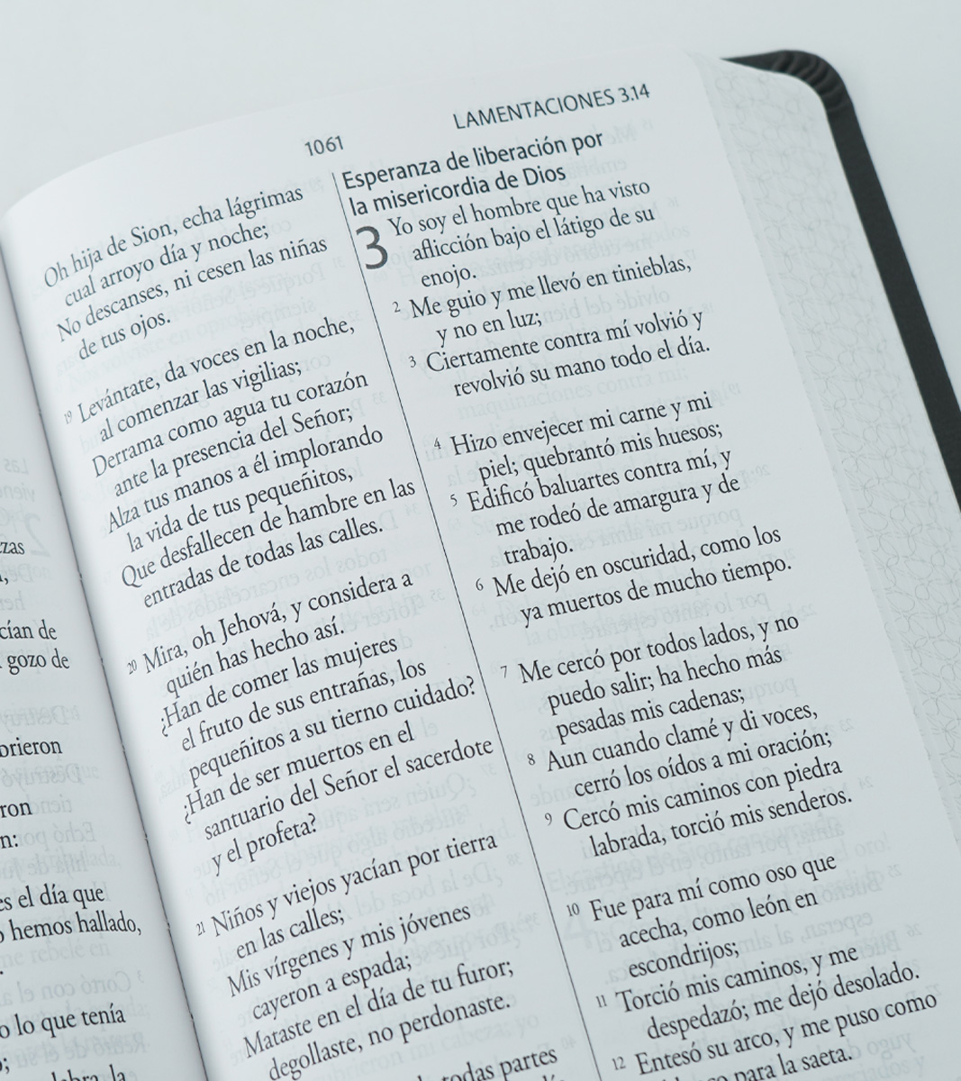 Biblia RVR 1960 Letra Gigante Tamaño Manual – Imitacion Piel Gris - Image 4
