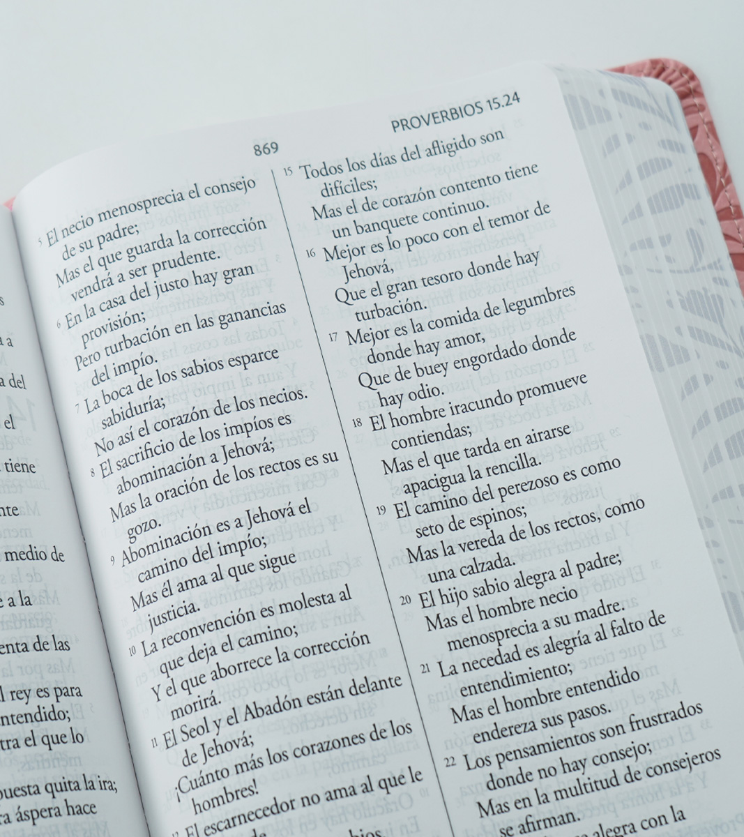 Biblia RVR 1960 Letra Gigante Tamaño Manual – Imitacion Piel Rosado Flores - Image 5