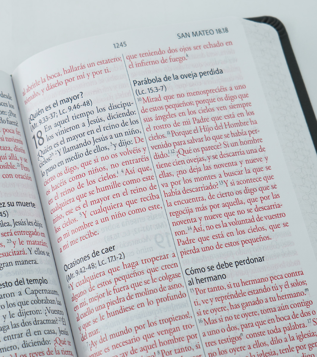 Biblia RVR 1960 Letra Gigante Tamaño Manual – Imitacion Piel Gris - Image 5
