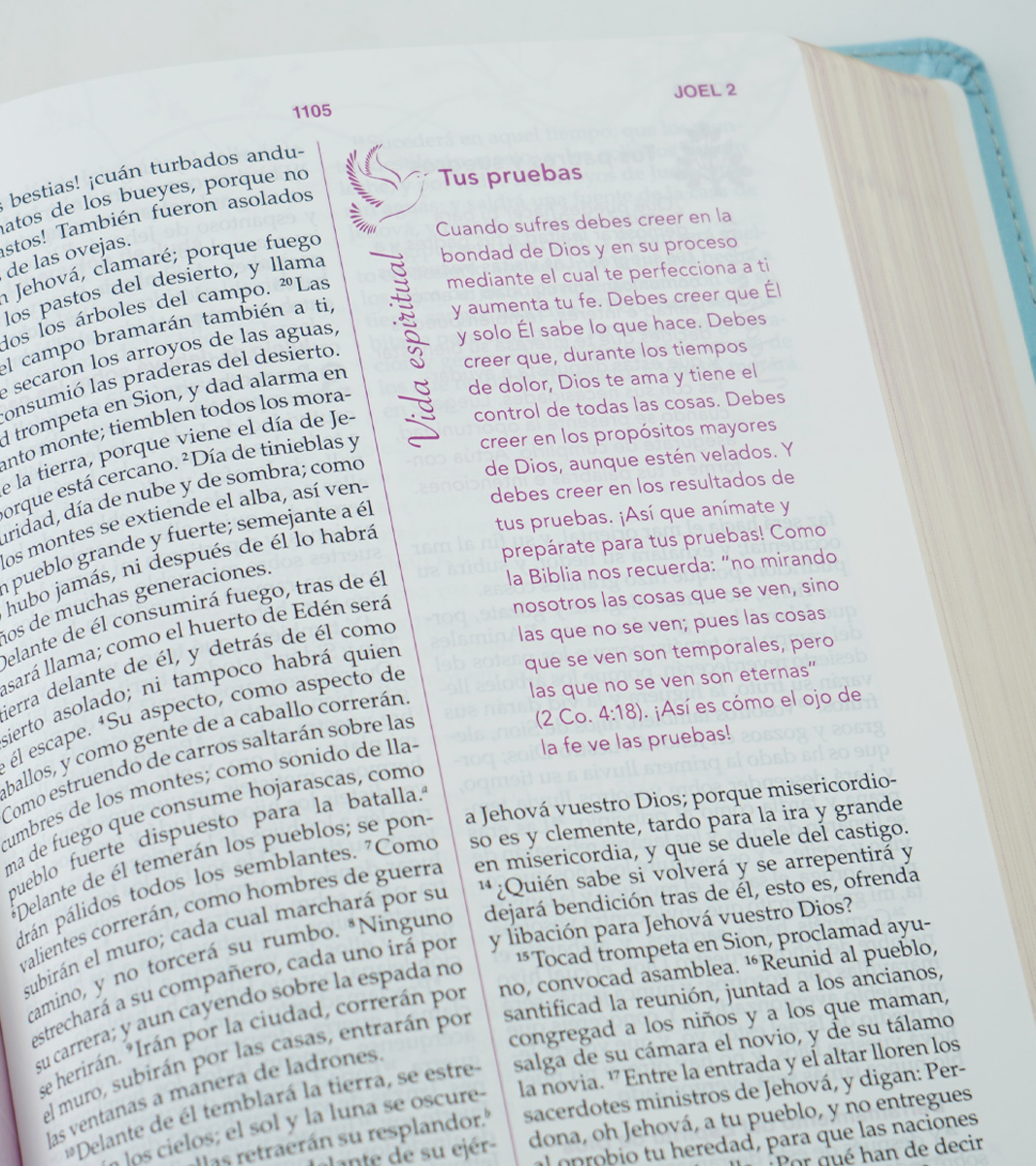 Biblia de la Mujer Conforme al Corazon de Dios RVR 1960 – Duotono Petalos - Image 6