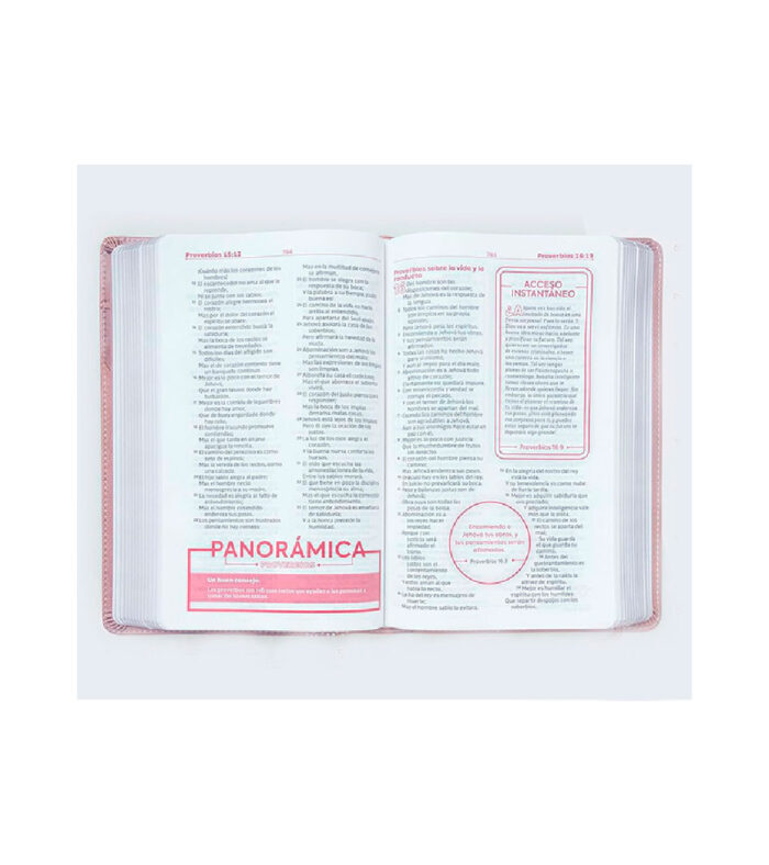 Biblia de Estudio para Jovenes – RV 1960 – Imitacion piel Rosa - Image 3