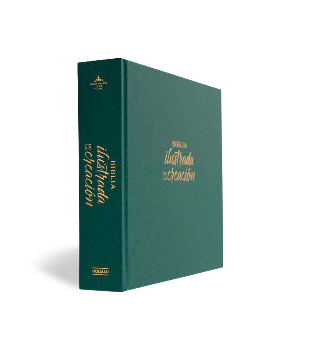 Biblia Ilustrada De la Creacion RVR 1960 - TelaTurquesa - Image 4