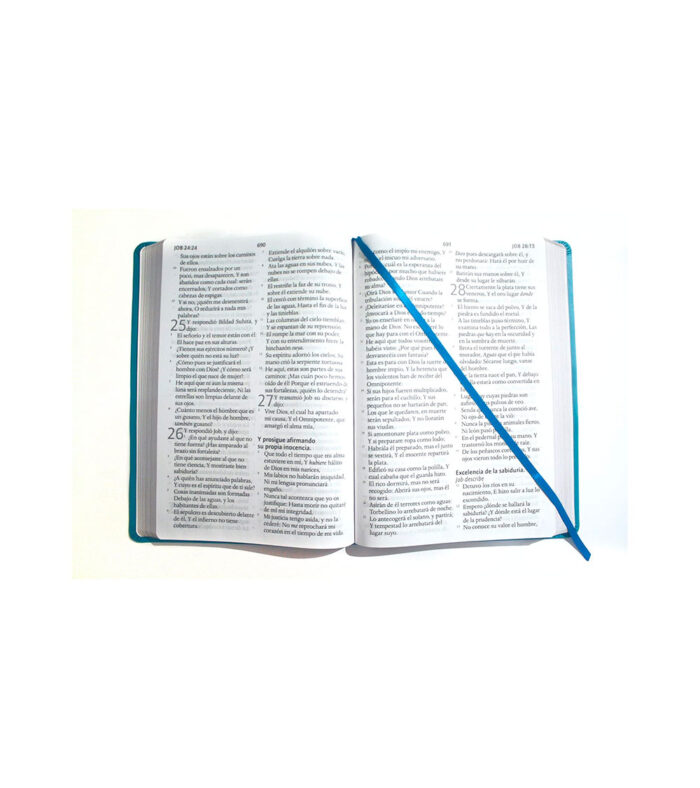 Biblia Letra Super Gigante RVR 1960 – Piel Aguamarina - Image 2