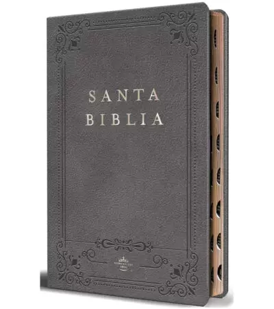 Biblia RVR 1960 Letra Grande Tamaño Manual Con Indice - Imitacion Piel Gris