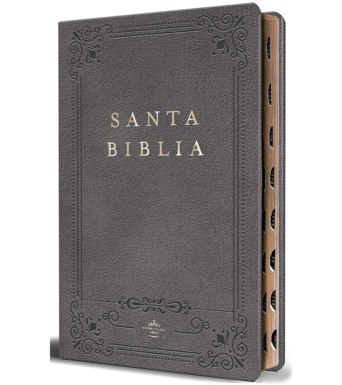 Biblia RVR 1960 Letra Grande Tamaño Manual Con Indice - Imitacion Piel Gris