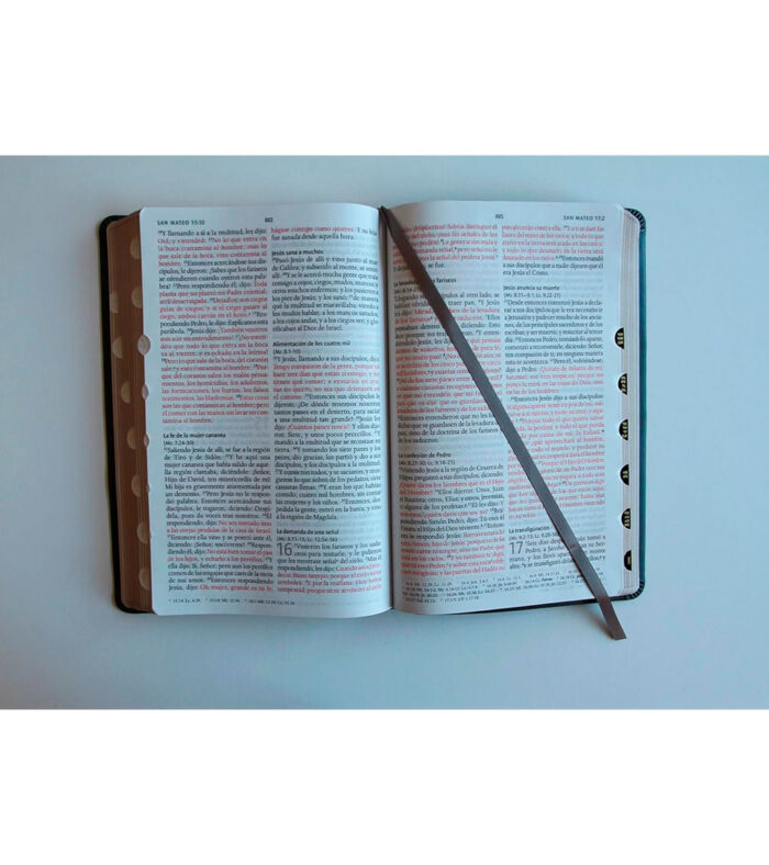 Biblia RVR 1960 Letra Grande Tamaño Manual Con Indice - Imitacion Piel Gris - Image 2