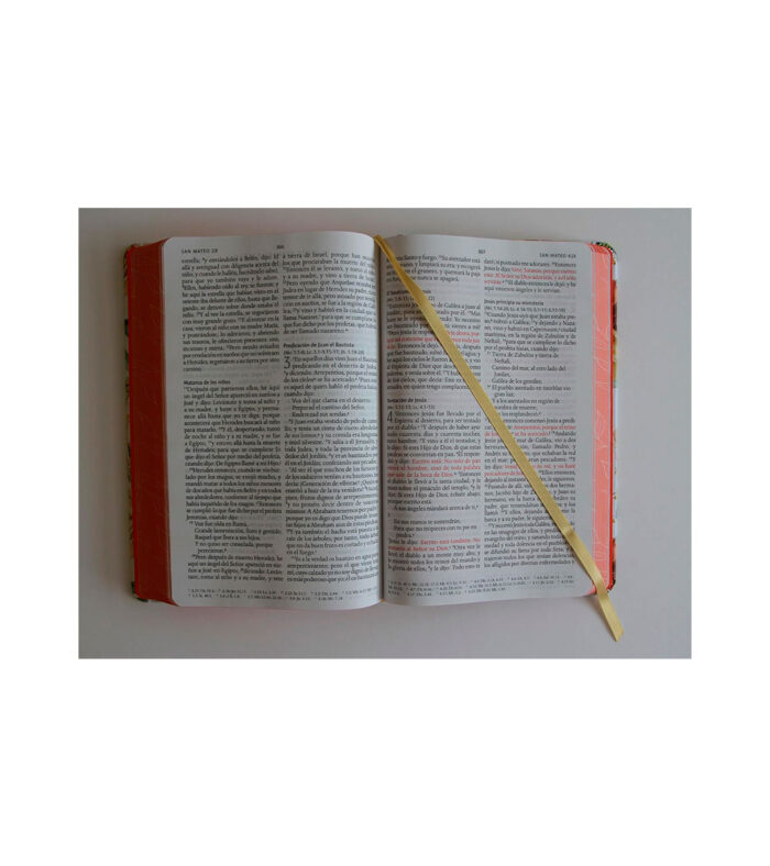 Biblia Letra Grande Tamaño Manual – RVR 1960 Tapa Dura Flores - Image 3
