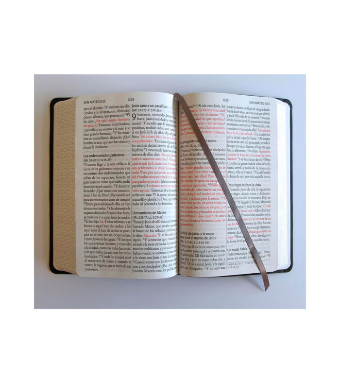 Biblia RVR 1960 Letra Gigante Tamaño Manual – Imitacion Piel Gris - Image 3
