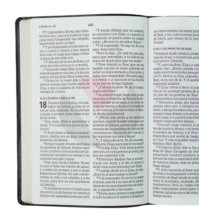 Nueva Biblia Letra Super Gigante Con Referencia RVR 1960 - Piel Imitacion Negro - Image 2