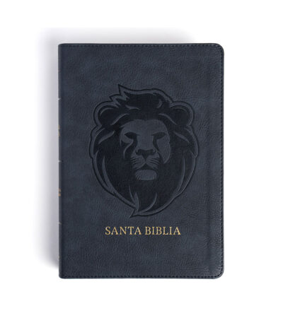 Biblia Letra Grande RVR 1960 Tamaño Manual Edicion Especial – Imitacion Ceniza Leon