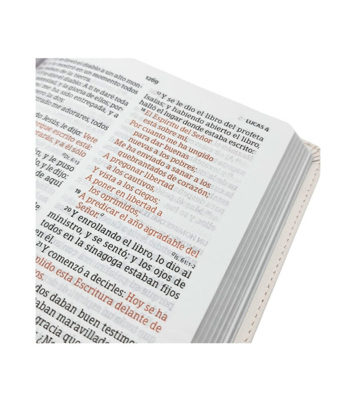 Biblia Letra Grande RVR 1960 Tamaño Manual Edicion Especial – Imitacion Aqua Flores - Image 3