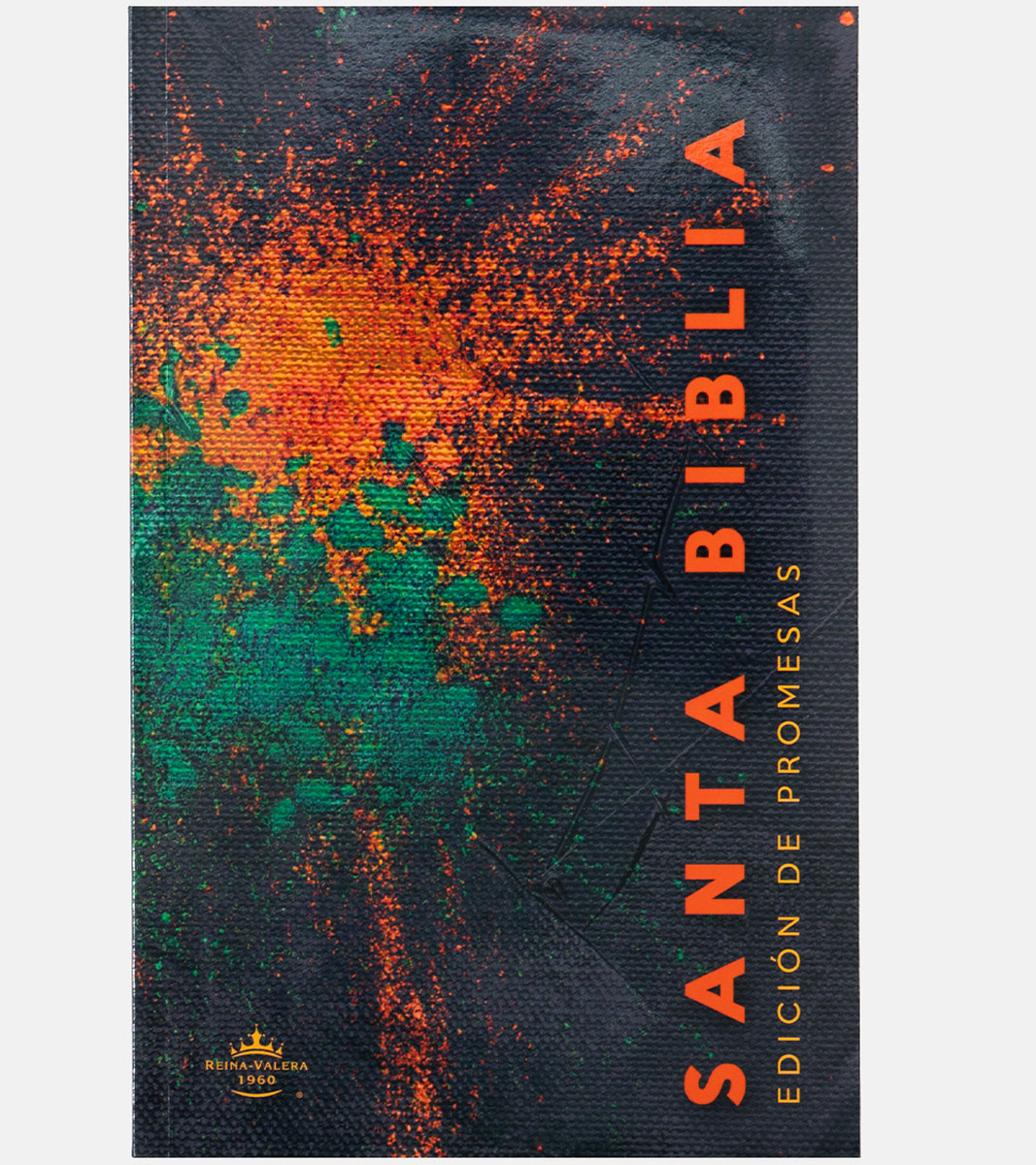 Biblia de Promesas Letra Grande RVR 1960 - Tapa Rustica Multicolor