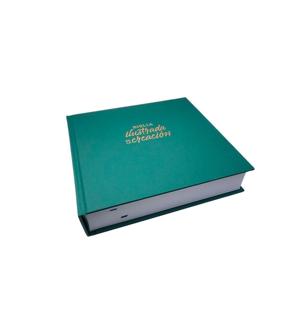 Biblia Ilustrada De la Creacion RVR 1960 - TelaTurquesa - Image 2