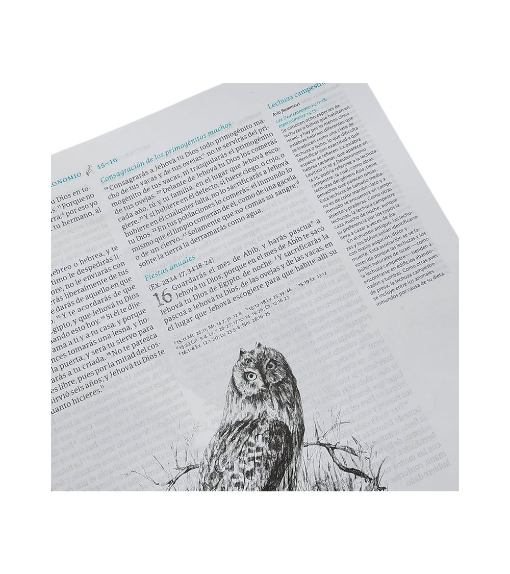 Biblia Ilustrada De la Creacion RVR 1960 - TelaTurquesa - Image 5