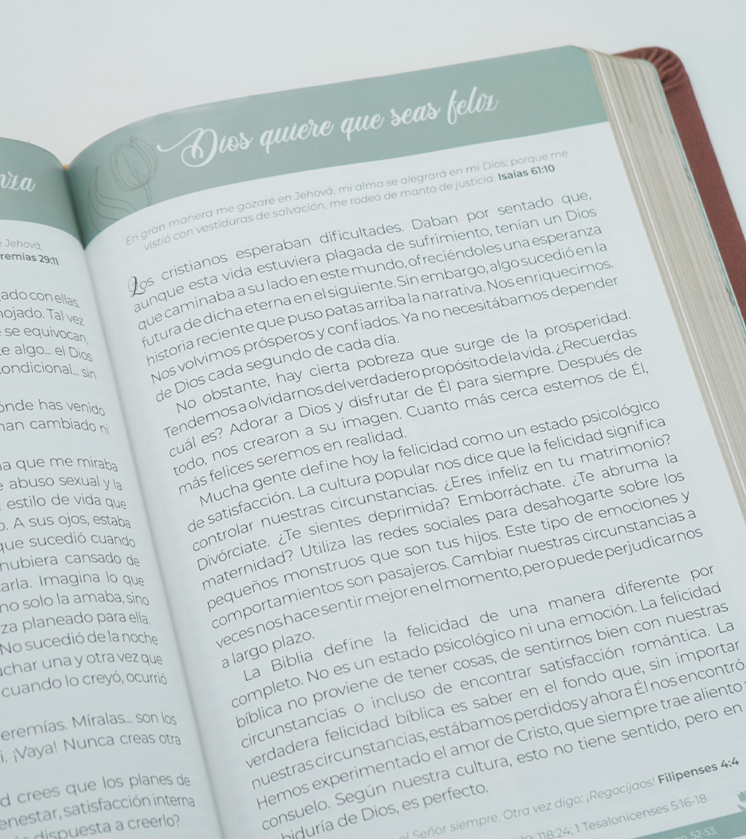 Biblia de Promesas Virtuosa Letra Gigante RVR 1960 – Imitacion Piel Rosado - Image 3