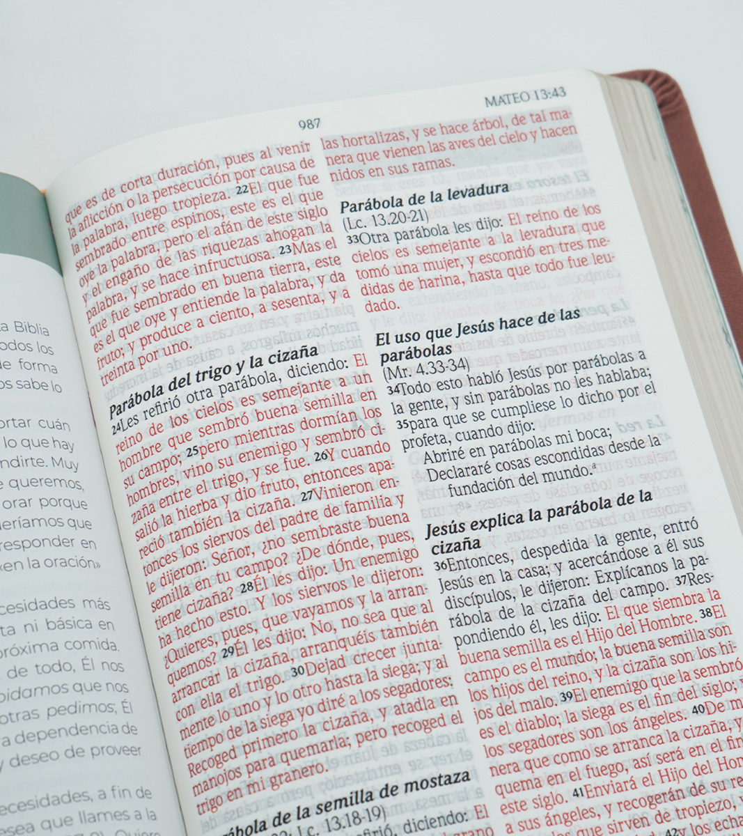 Biblia de Promesas Virtuosa Letra Gigante RVR 1960 – Imitacion Piel Rosado - Image 4