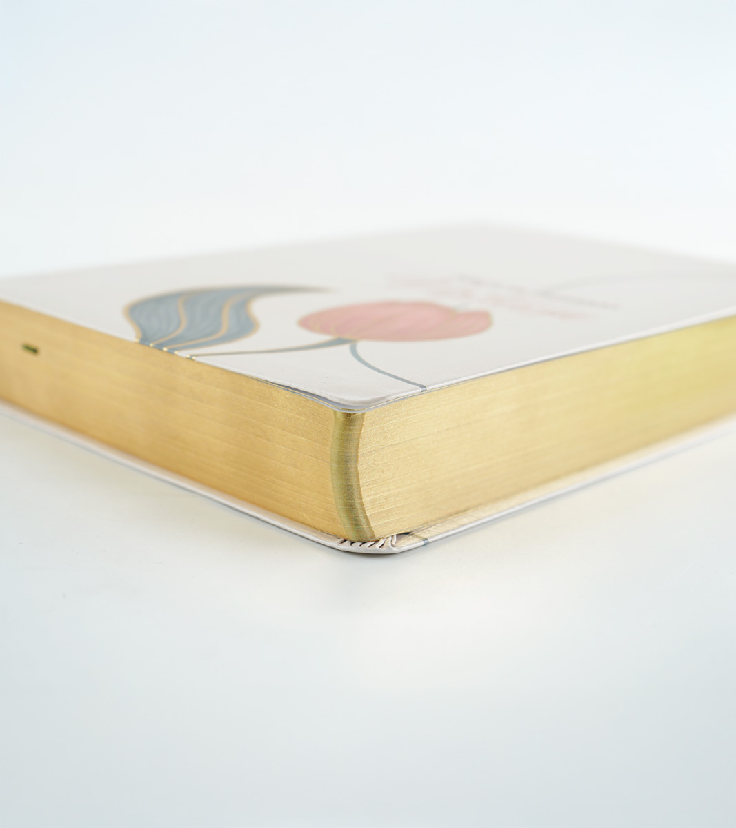 Biblia de Promesas Virtuosa Letra Gigante RVR 1960 – Imitacion Piel Crema - Image 3