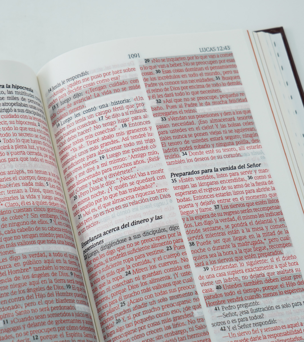 Biblia de Promesas NTV Para Niños – Tapa dura - Image 5