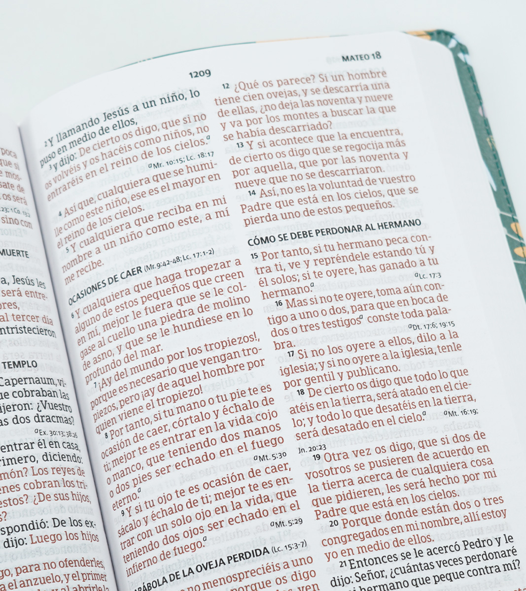 Biblia Letra Grande RVR 1960 Tamaño Manual Edicion Especial – Imitacion Floral Verde - Image 4