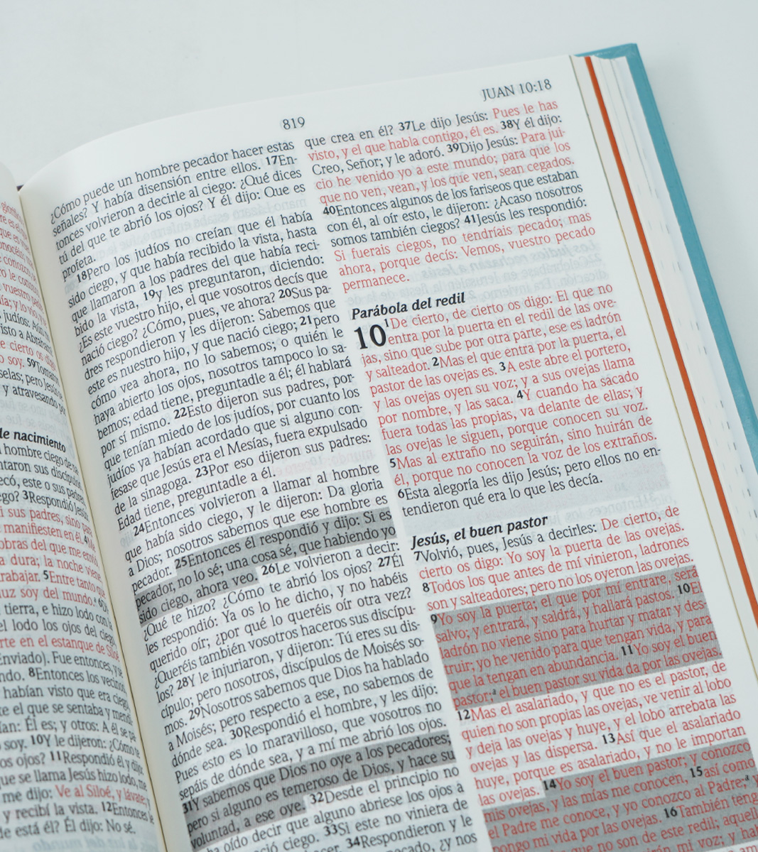 Biblia de Promesas RVR-1960 Para Niños – Tapa dura Celeste - Image 6