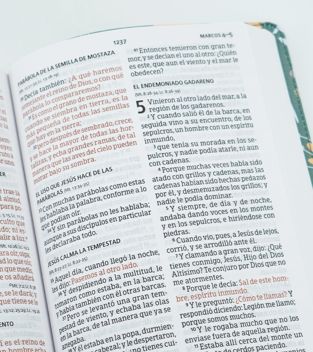 Biblia Letra Grande RVR 1960 Tamaño Manual Edicion Especial – Imitacion Floral Verde - Image 5