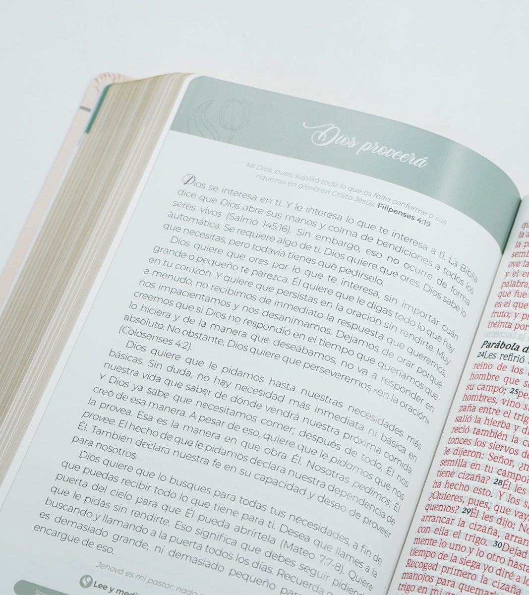 Biblia de Promesas Virtuosa Letra Gigante RVR 1960 – Imitacion Piel Crema - Image 6