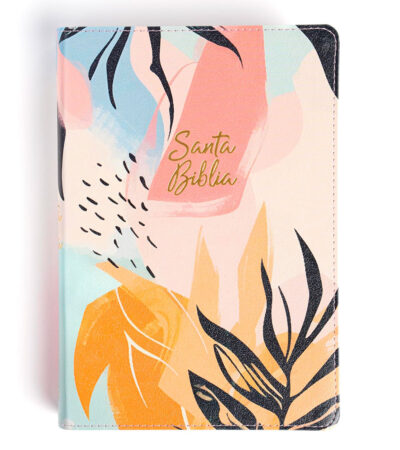 Biblia Letra Grande RVR 1960 Tamaño Manual Edicion Especial – Imitacion Multicolor Hojas