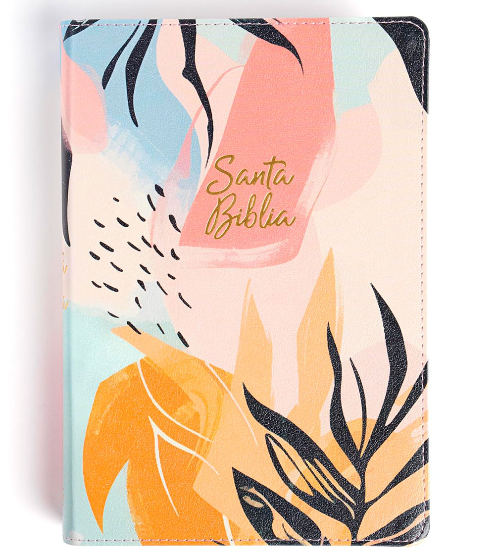 Biblia Letra Grande RVR 1960 Tamaño Manual Edicion Especial – Imitacion Multicolor Hojas