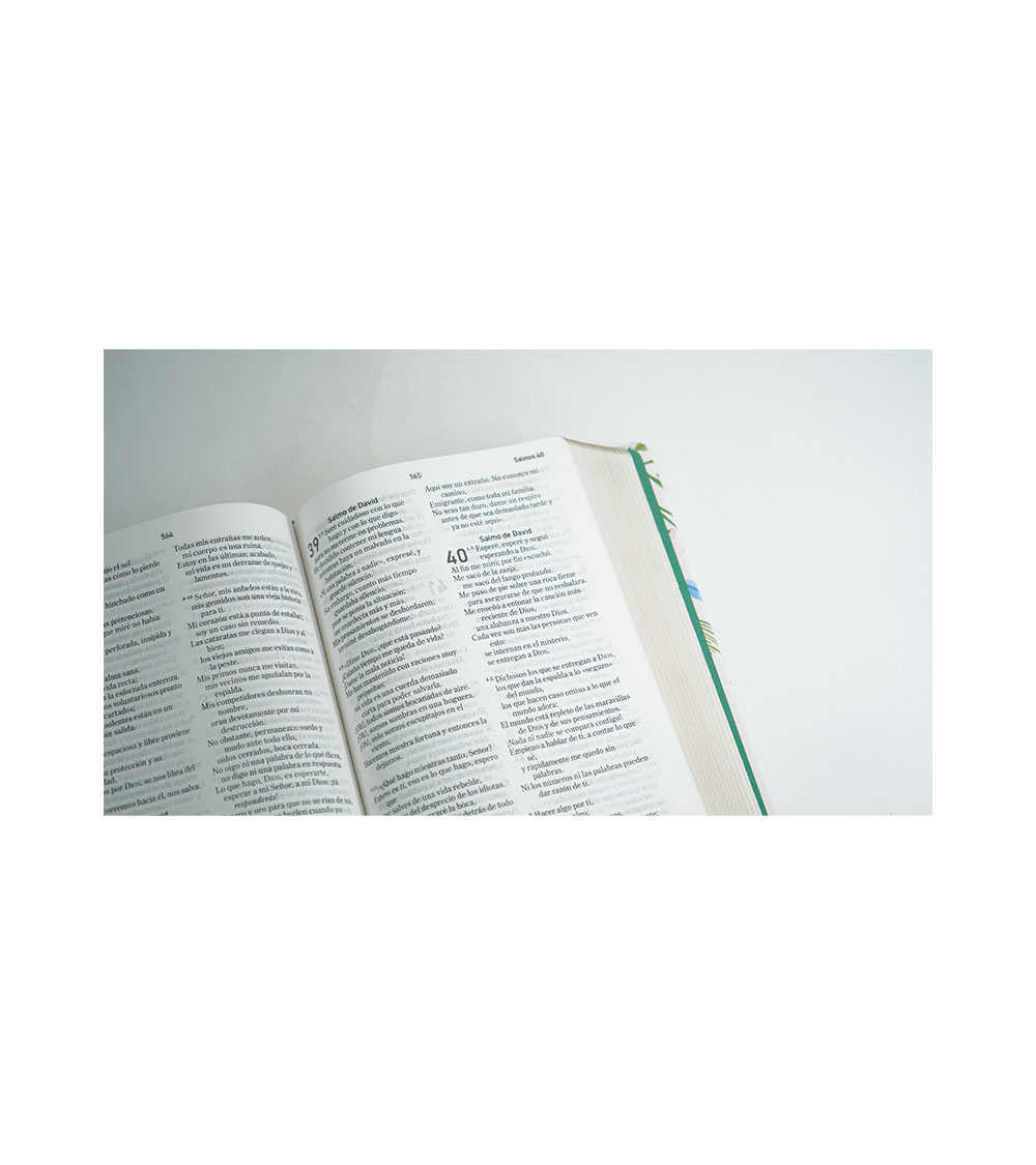 Biblia El Mensaje - Tapa Dura Hojas Verdes - Image 3