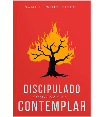 Discipulado Comienza al Contemplar