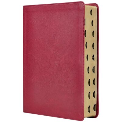 Biblia de estudio trasfondo cultural RVR con indice- Imitacion Piel Rojo