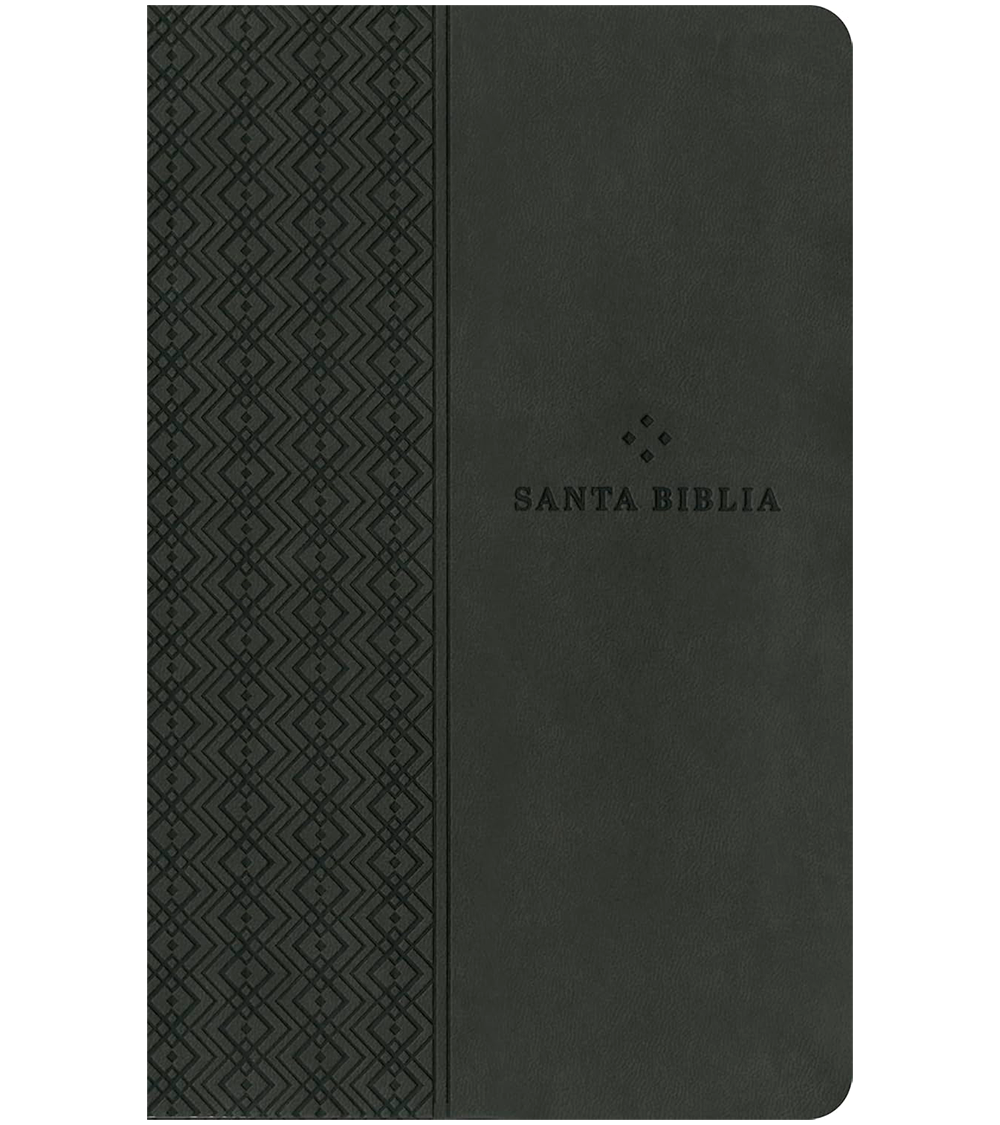 Santa Biblia Valor Premium Ultrafina NTV - Imitacion Piel Gris Oscuro