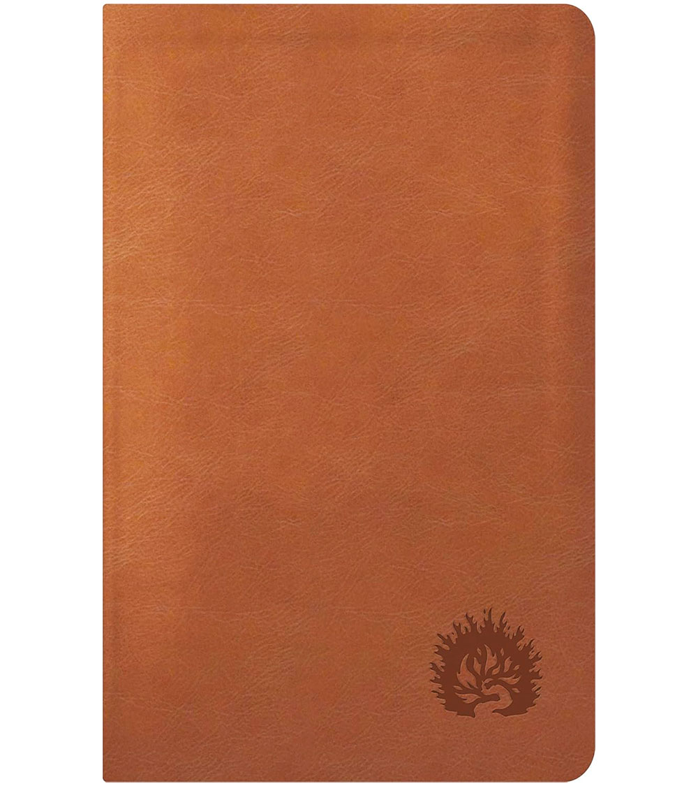 Biblia de Estudio de la Reforma Edicion Condensada NBLA - Imitacion Cafe