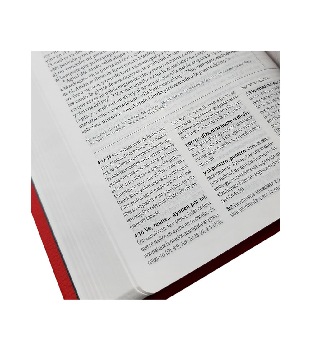 Biblia de Estudio de la Reforma Edicion Condensada NBLA - Imitacion Rojo - Image 3