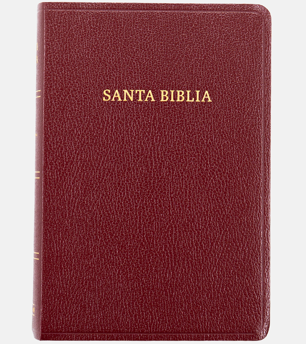 Biblia RV1960 Tamaño Manual Letra Grande – Imitacion Piel Vino