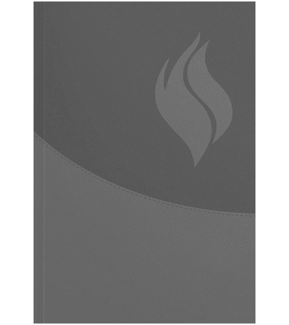 Biblia de Estudio Vida Plena RVR 1960 Actualizada – Imitacion Negro