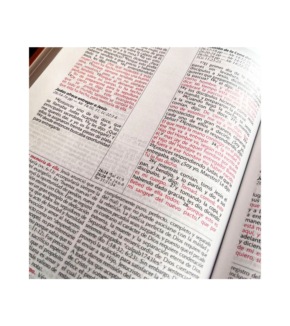 Biblia de Estudio Vida Plena RVR 1960 Actualizada – Imitacion Negro - Image 2