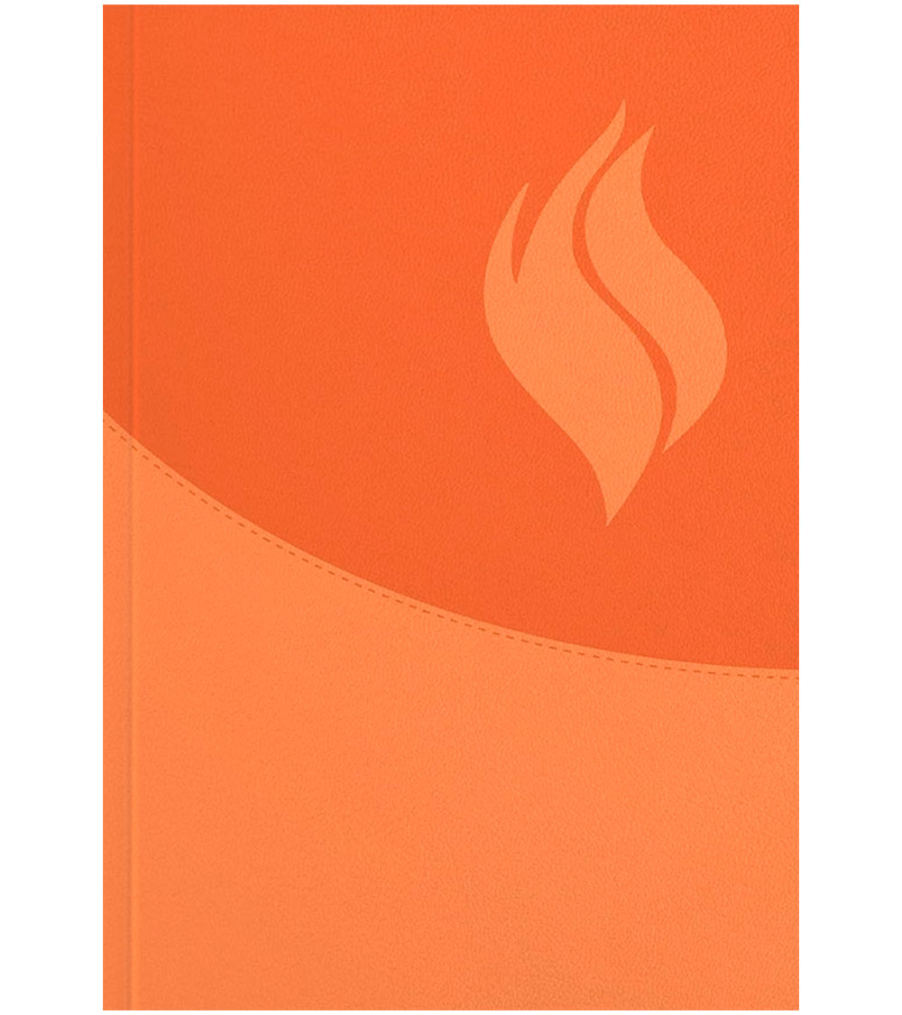 Biblia de Estudio Vida Plena RVR 1960 Actualizada – Imitacion Marron