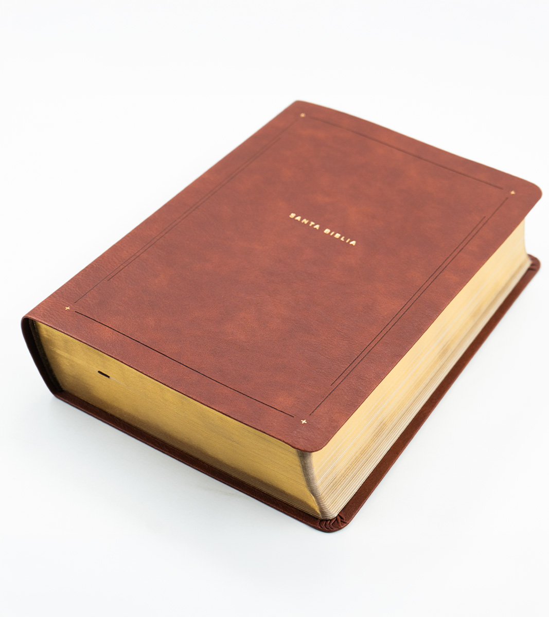 Biblia de Estudio del Diario Vivir NTV - Imitacion Piel Cafe - Image 2