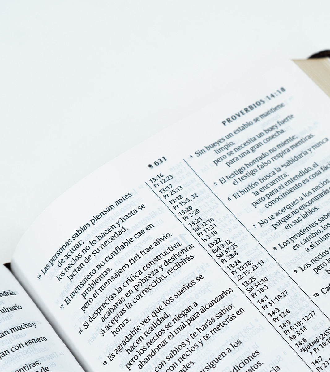 Santa Biblia Letra Grande Ultrafina NTV – Imitacion Cafe - Filament - Image 4