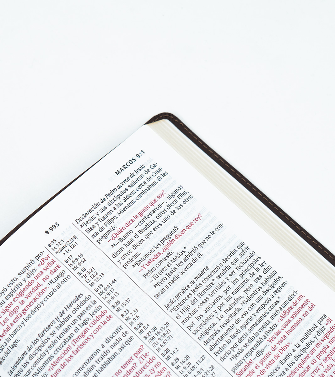 Santa Biblia Letra Grande Ultrafina NTV – Imitacion Cafe - Filament - Image 5