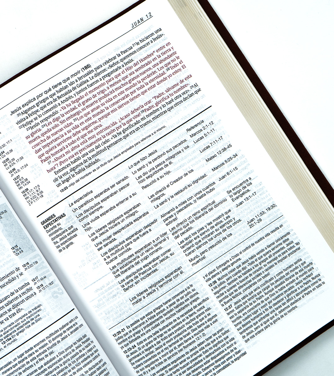 Biblia de Estudio del Diario Vivir NTV - Imitacion Piel Cafe - Image 6