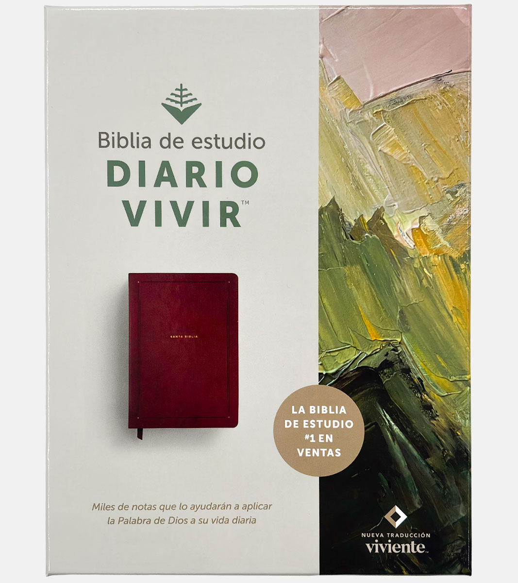 Biblia de Estudio del Diario Vivir NTV - Imitacion Piel Cafe - Image 8