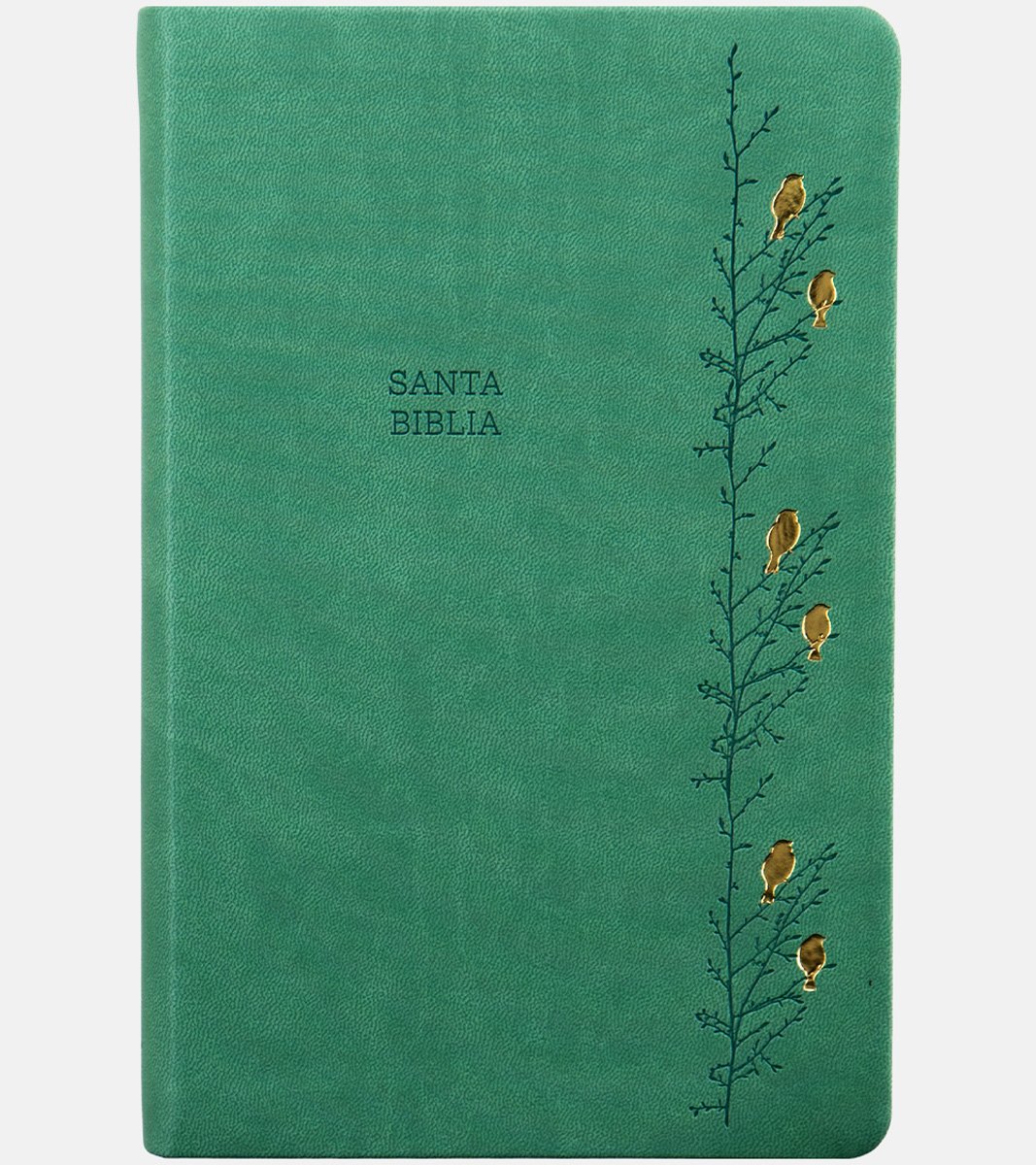 Biblia RVR 1960 Letra Gigante Tamaño Manual - Imitacion Piel Verde Pajaros