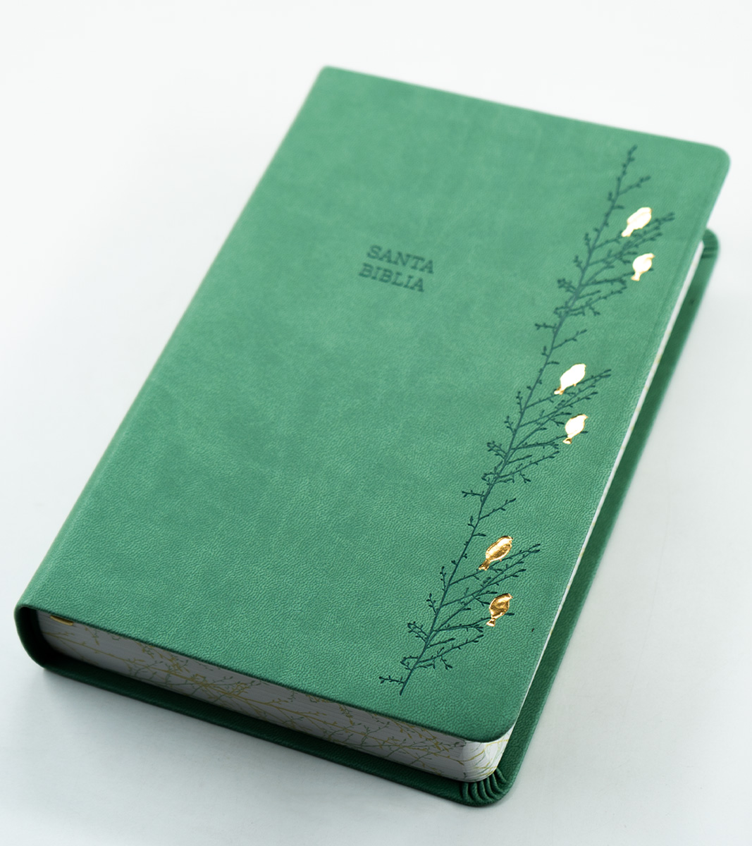 Biblia RVR 1960 Letra Gigante Tamaño Manual - Imitacion Piel Verde Pajaros - Image 2