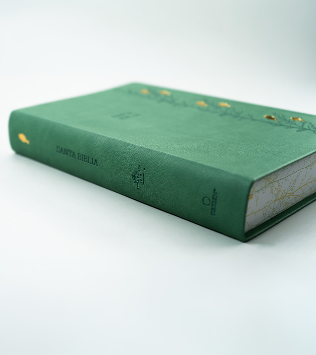 Biblia RVR 1960 Letra Gigante Tamaño Manual - Imitacion Piel Verde Pajaros - Image 3