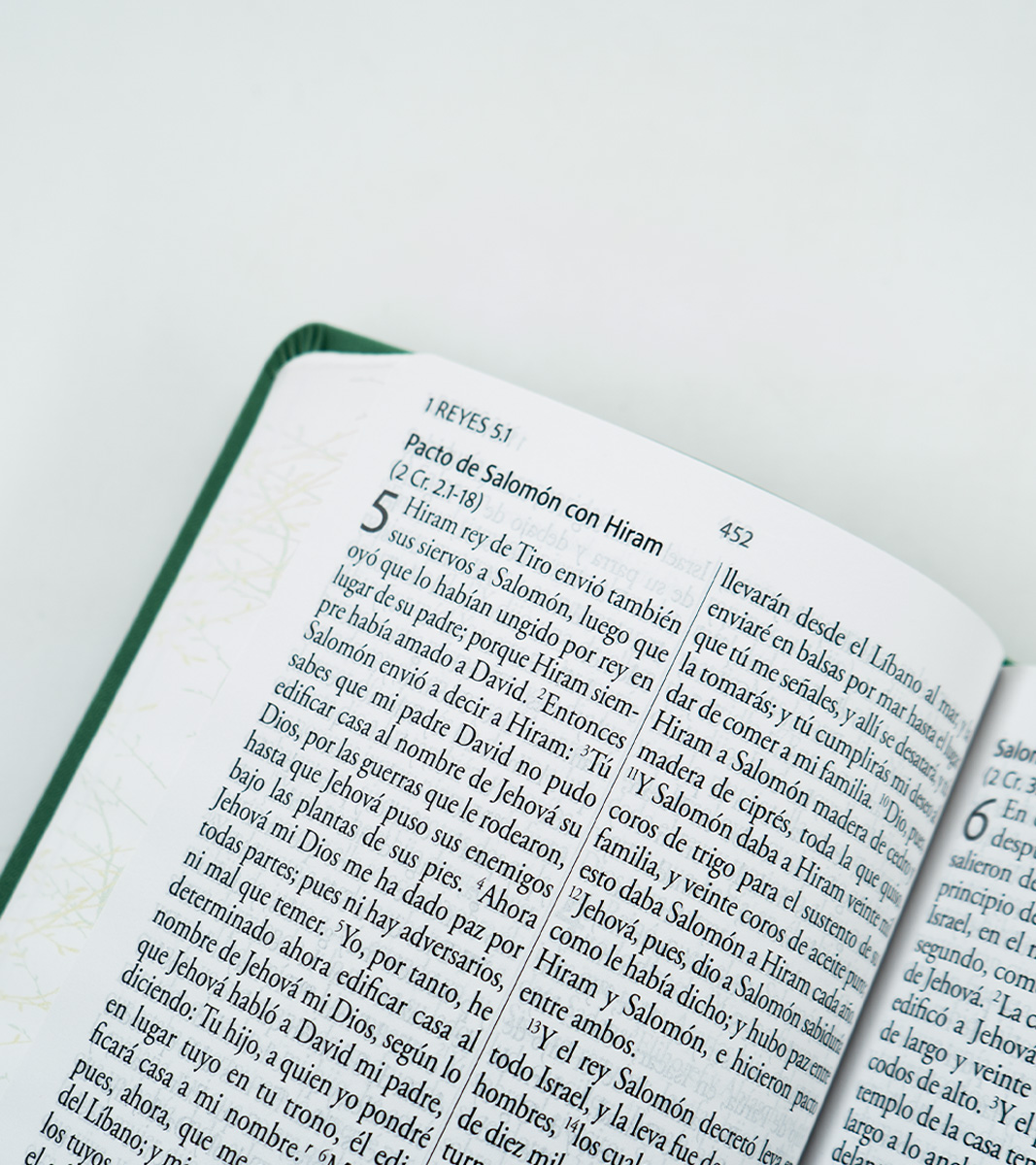 Biblia RVR 1960 Letra Gigante Tamaño Manual - Imitacion Piel Verde Pajaros - Image 5